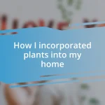 How I incorporated plants into my home